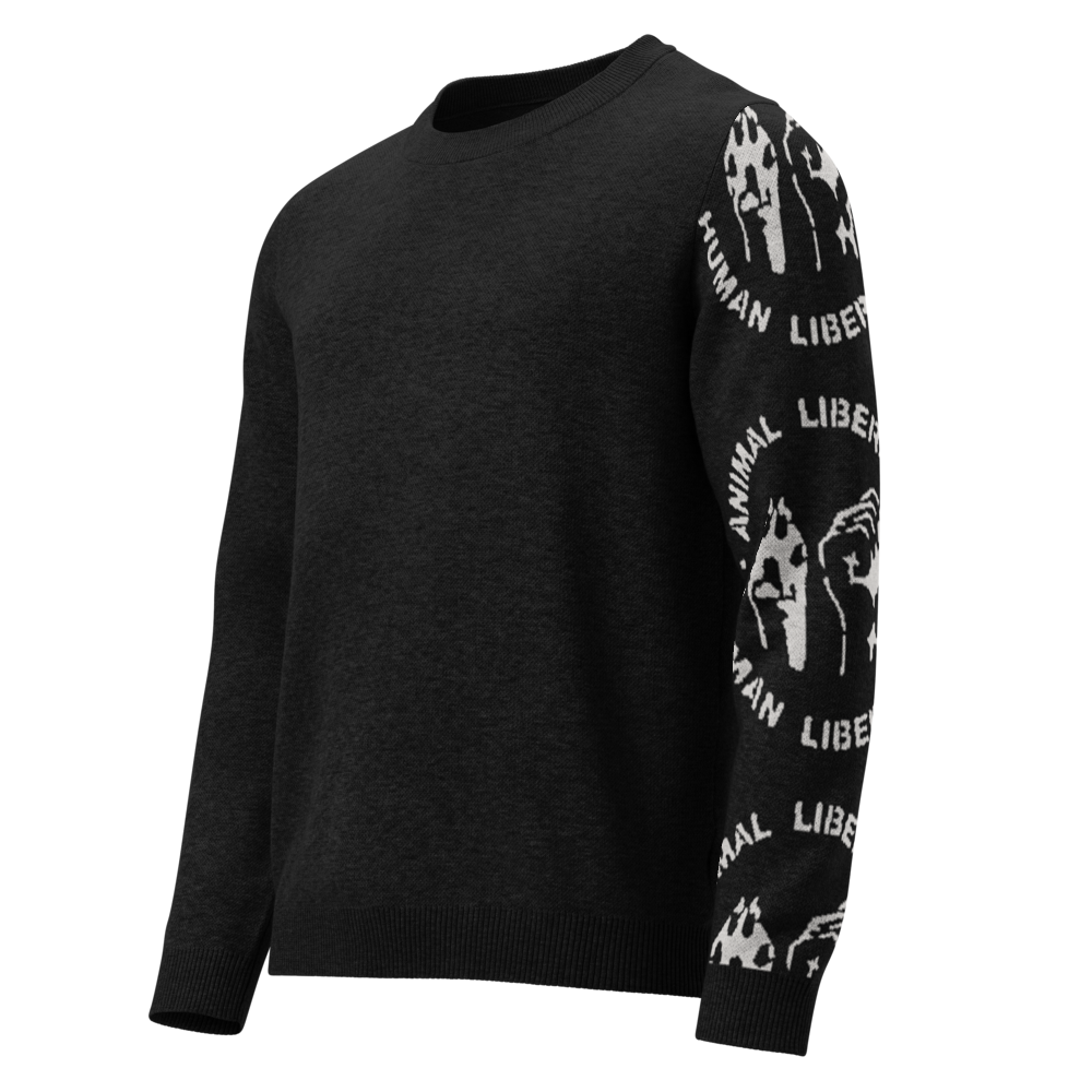 ALHL sweater