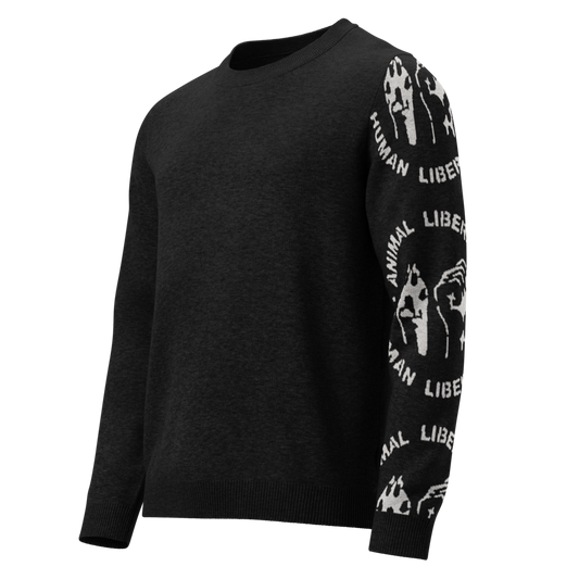 ALHL sweater